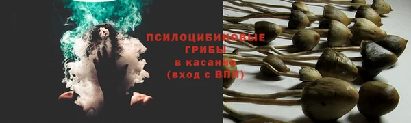 2c-b Армянск