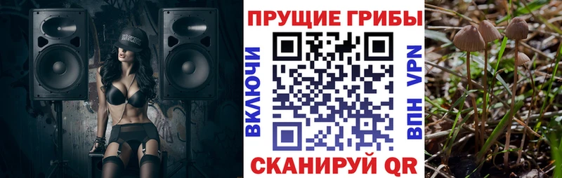 Галлюциногенные грибы GOLDEN TEACHER Ливны
